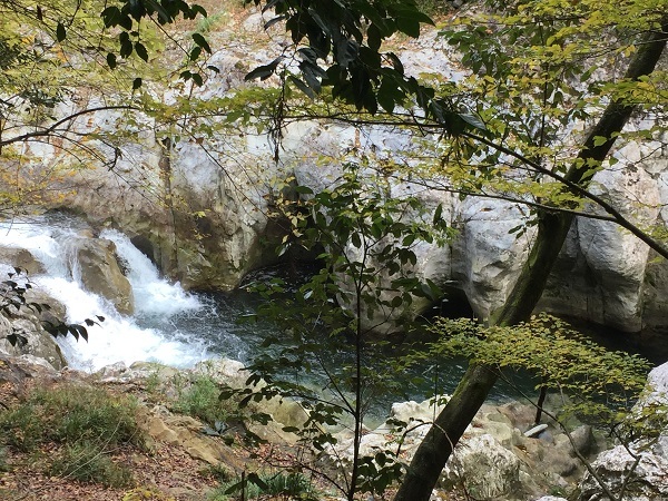 f0364707_08593581.jpg