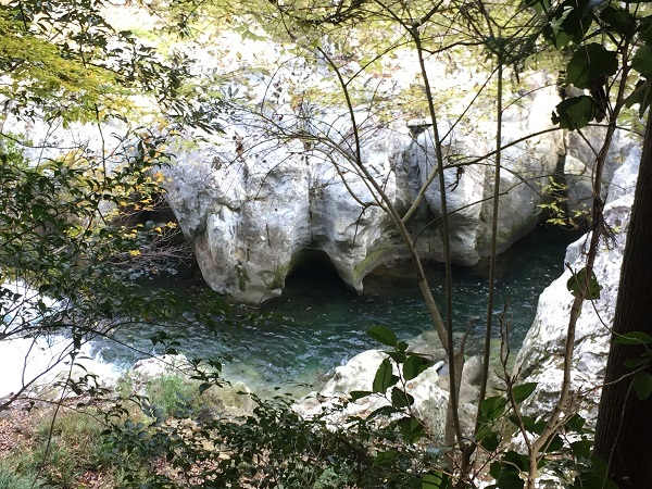 f0364707_08595028.jpg