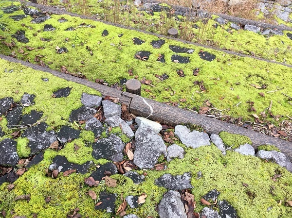 f0364707_09103699.jpg