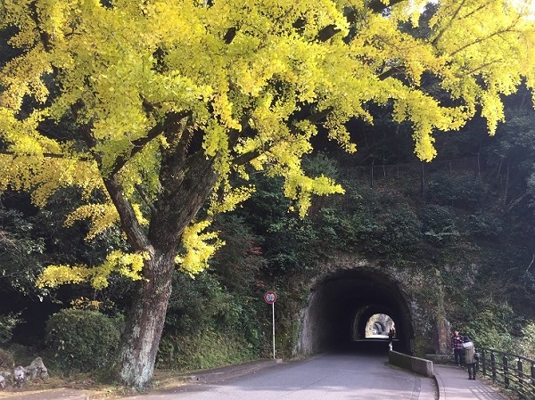 青の洞門（大分県中津市本耶馬渓町）_f0364707_09445758.jpg