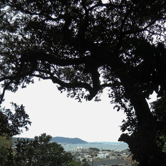 c0195909_12234616.jpg