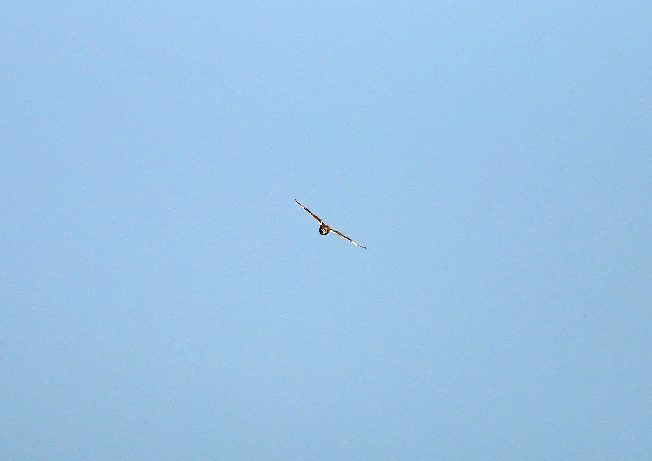 d0360910_08284789.jpg