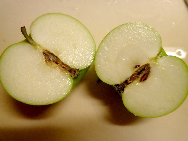 f0043911_10433826.jpg