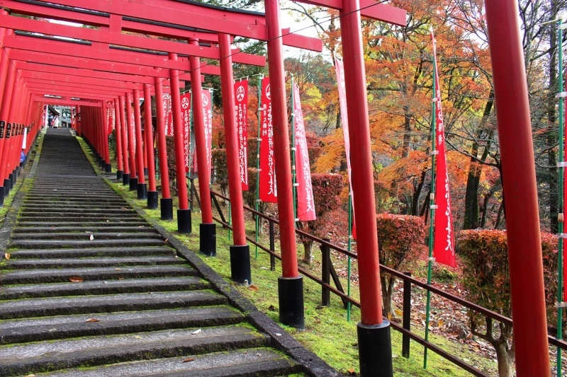 王子山稲荷神社の秋_d0361112_19285699.jpg