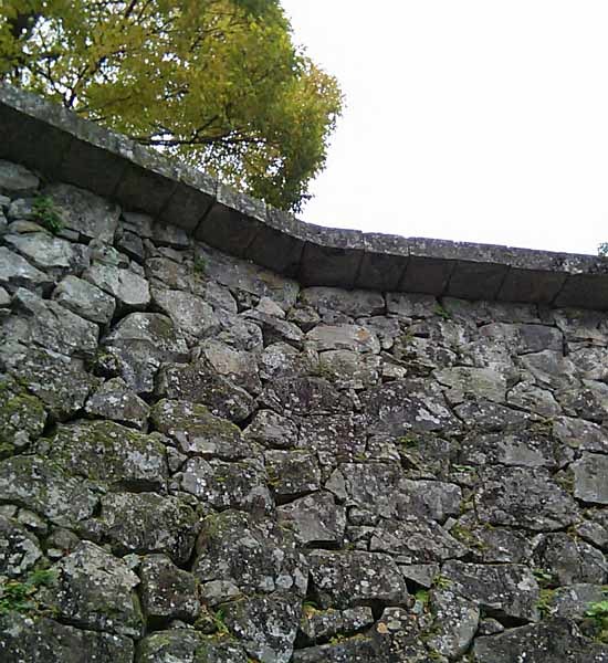 c0009413_22440057.jpg