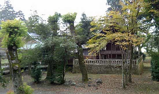 c0009413_22450959.jpg