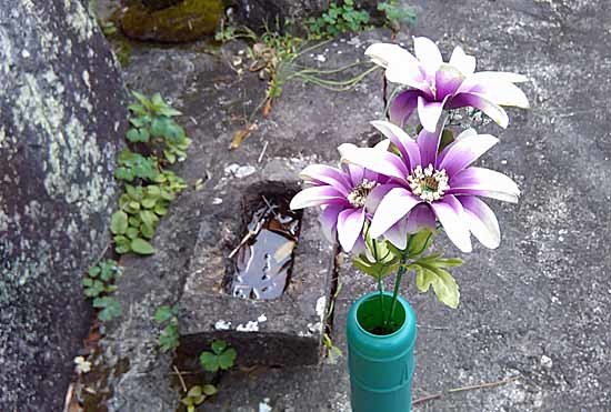 c0009413_22474647.jpg