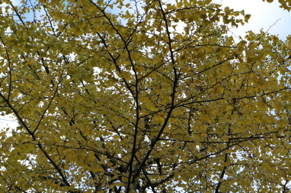 f0369014_08543265.jpg
