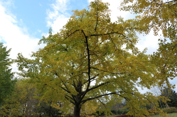 f0369014_09014584.jpg