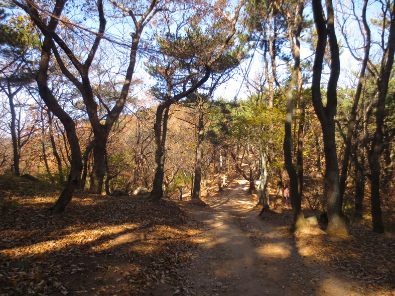 ■高校同級オヤジ二人の晩秋釜山_d0190217_22500424.jpg