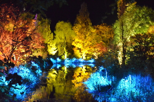 e0135518_15291515.jpg