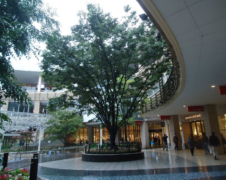 b0248920_07521521.jpg
