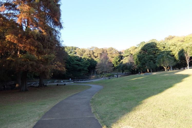 f0363628_06015377.jpg