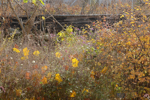 c0107129_030447.jpg
