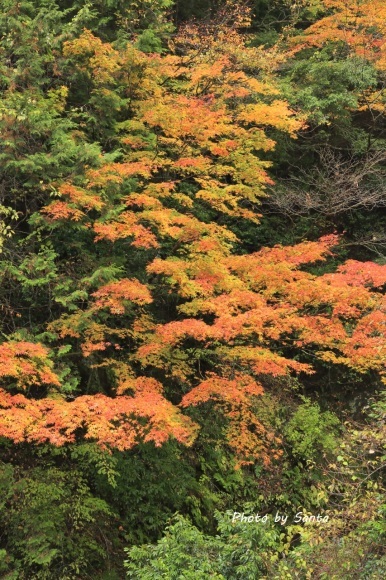 c0201929_19550053.jpg