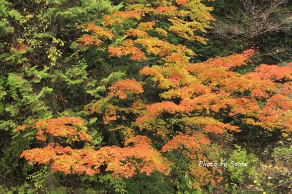 c0201929_19550072.jpg