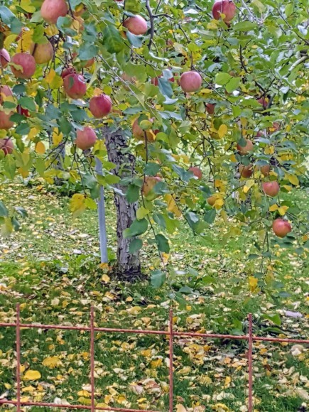 d0269832_08503794.jpeg