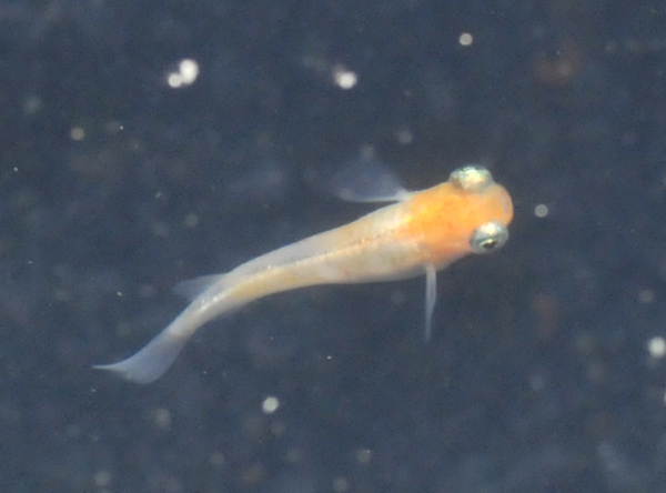 e0097534_16342025.jpg