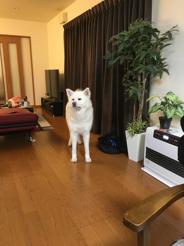 e0364035_00094148.jpeg