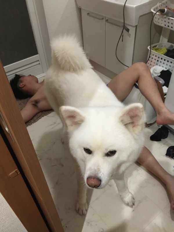 e0364035_00453314.jpeg