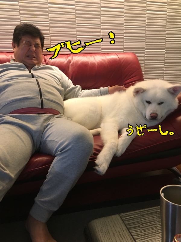 e0364035_01211254.jpeg