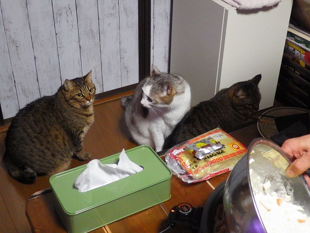 a0337237_13011372.jpg