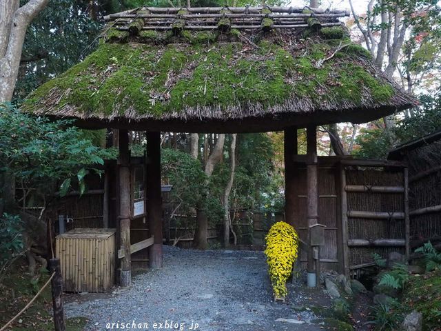 そうだ京都、行こう２０１７～祇王寺～☆_f0295238_15294812.jpg