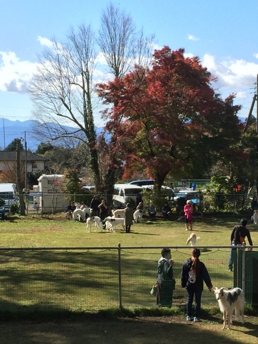 b0369239_16463635.jpeg