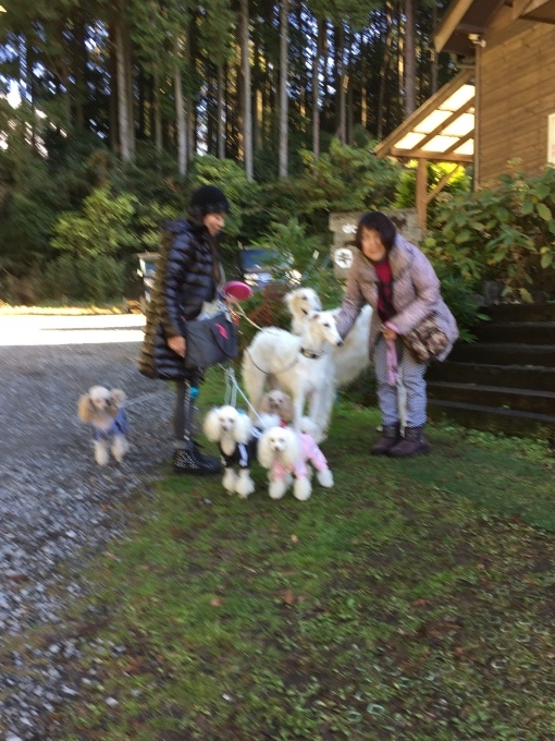 b0369239_16472059.jpeg
