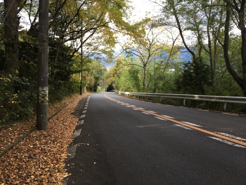 b0330040_16262780.jpeg