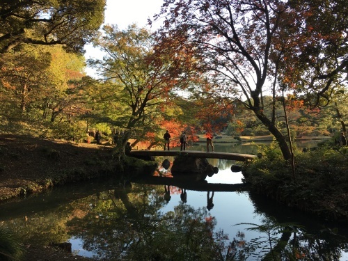 週末は「旧古河庭園」と「六義園」をお散歩☆_a0158241_21184475.jpg