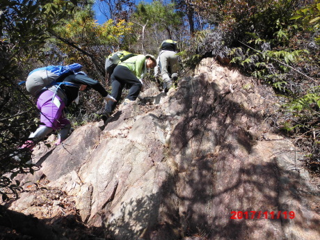 芦屋の山　「道畔谷北尾根」_c0218841_15401491.jpg