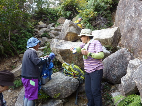 芦屋の山　「道畔谷北尾根」_c0218841_16083393.jpg