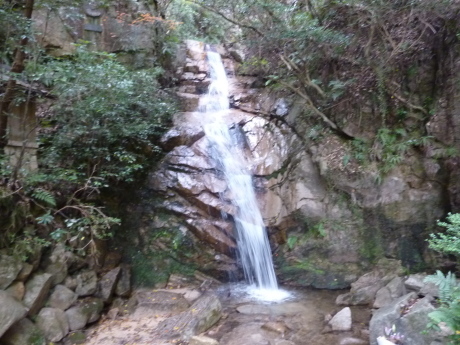 芦屋の山 「道畔谷北尾根」_c0218841_16094415.jpg