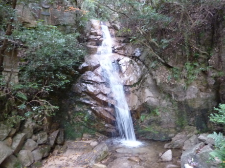 芦屋の山　「道畔谷北尾根」_c0218841_16094415.jpg