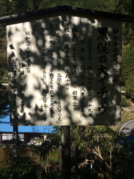 d0163941_10433940.jpg