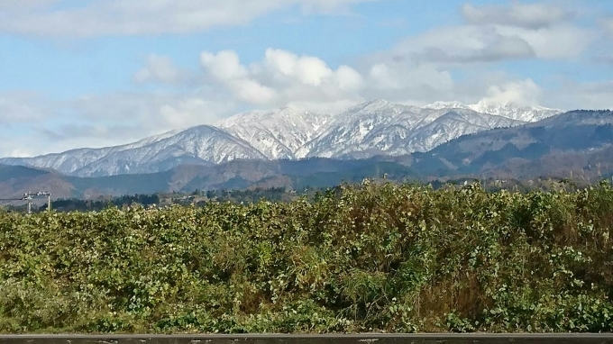 手打ち蕎麦　八笑…富山県中新川郡　_c0295742_23025883.jpg