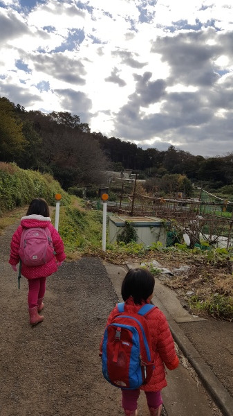 鎌倉六国見山の畑を見学_f0357044_06100145.jpg