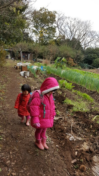 鎌倉六国見山の畑を見学_f0357044_06151501.jpg