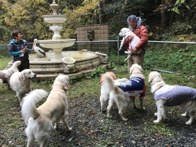 a0264649_19304961.jpeg