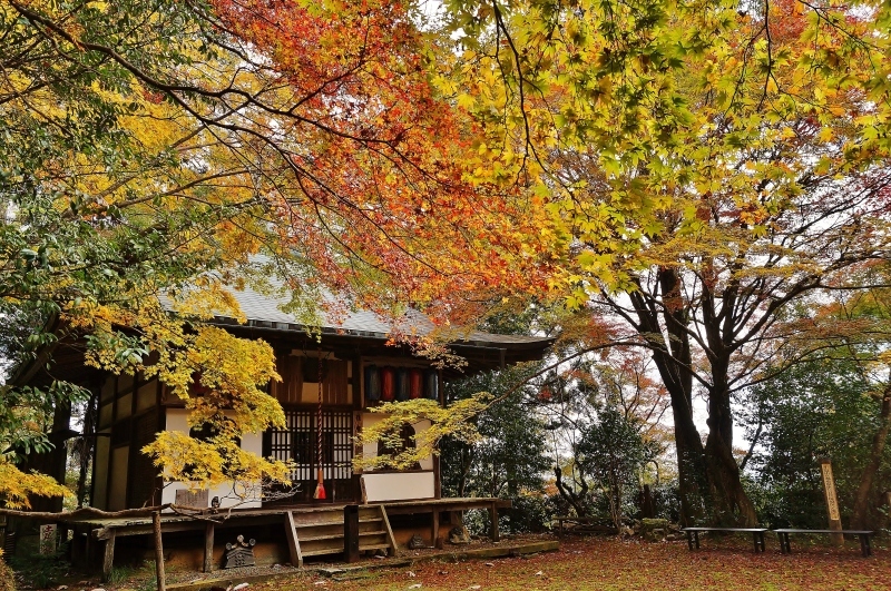 金蔵寺の護摩堂あたりの紅葉_b0063958_17490068.jpg