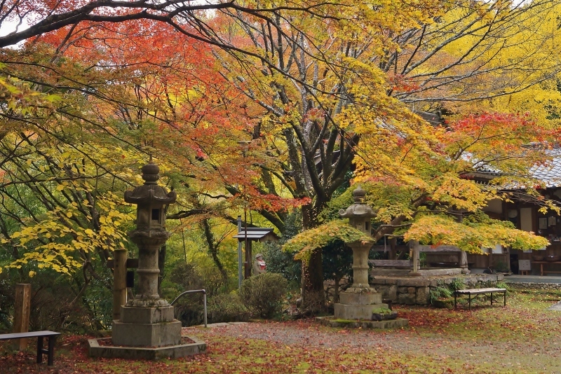 金蔵寺の護摩堂あたりの紅葉_b0063958_17520812.jpg