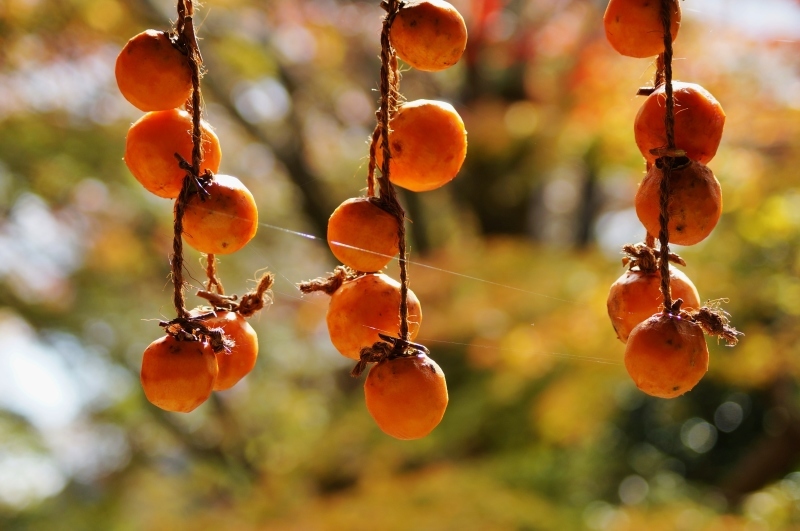 紅葉彩る金蔵寺・手水舎の干し柿_b0063958_18142929.jpg