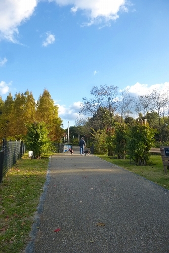 c0338262_18590941.jpg