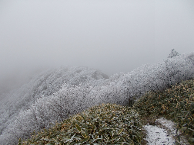 2017.11.19 寒風山1763ｍ～笹ヶ峰1860ｍ_c0219866_12194860.jpg