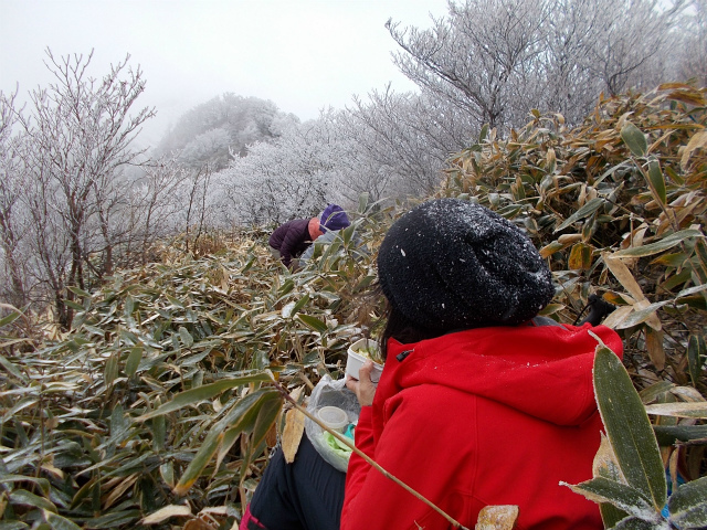 2017.11.19 寒風山1763ｍ～笹ヶ峰1860ｍ_c0219866_12310732.jpg