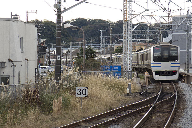 Sunny holiday -1st stopover(Kamakura)-_f0052971_17554702.jpg