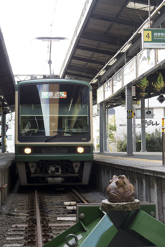 Sunny holiday -1st stopover(Kamakura)-_f0052971_18424096.jpg