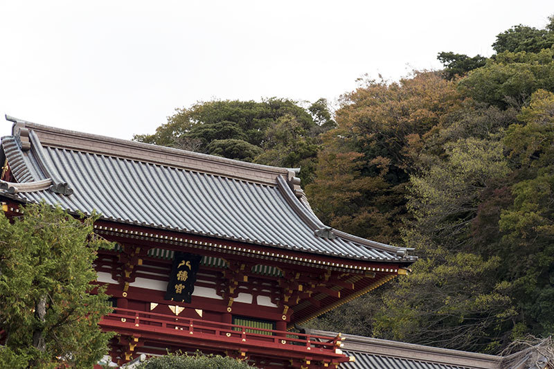 Sunny holiday -1st stopover(Kamakura)-_f0052971_18473887.jpg