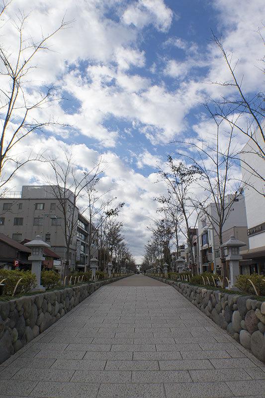 Sunny holiday -1st stopover(Kamakura)-_f0052971_18473943.jpg